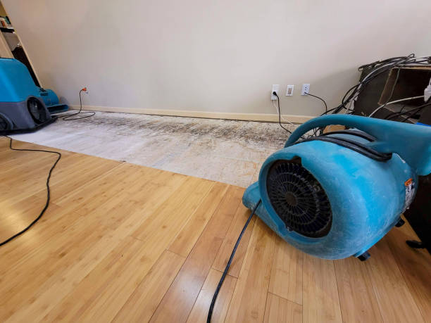 Professional Basement Flood Cleanup technician working in Marion, AL